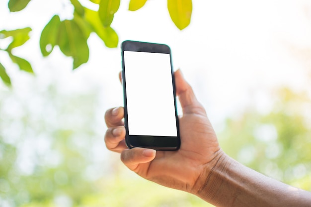 Hand, die intelligentes Telefon auf Naturhintergrund hält