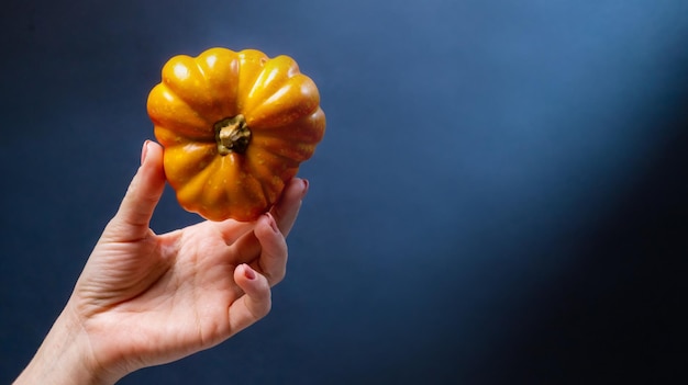 Hand, die kleinen Kürbis als Symbol für gesunde Öko-Lebensmittel hält. Orangefarbenes Herbstgemüse für Halloween und Erntedankfest