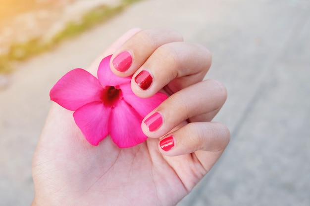 Hand, die rosa Blume im Park hält