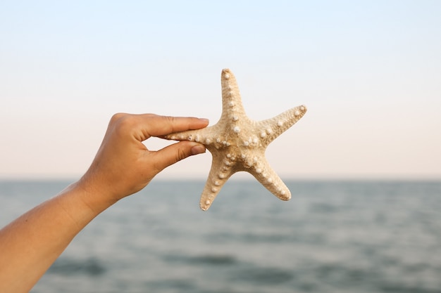 Hand, die Seesterne mit schöner tropischer Sommersandstrandinsel hält, entspannendes Feriensommerblaues Meerkonzept.