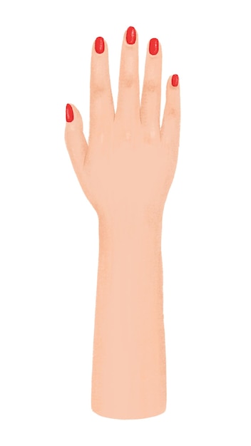 Hand einer Frau png Asiatische Vielfalt Illustration transparenter Hintergrund