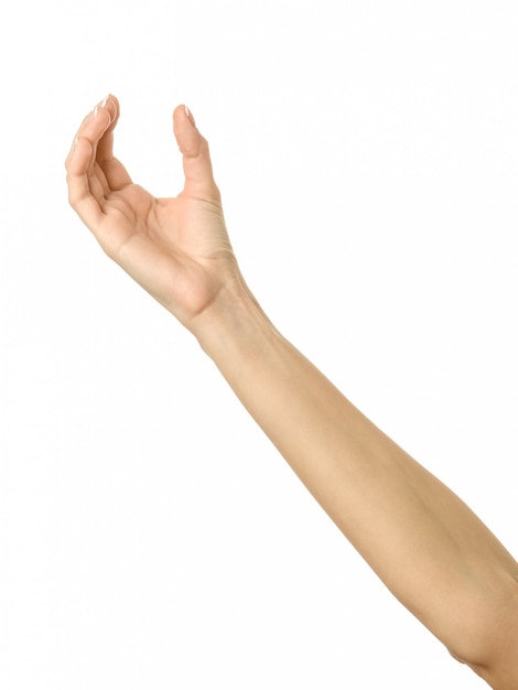 Hand geben, erreichen oder halten. Frauenhand gestikuliert lokalisiert auf Weiß