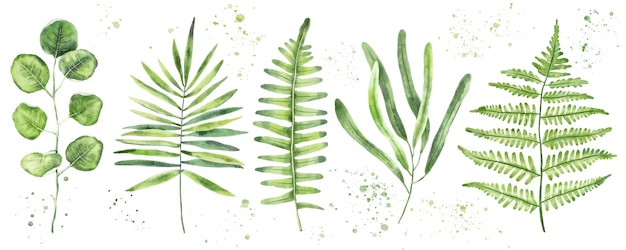 Hand gezeichneter Aquarellsatz der grünen Blätter und Zweige. Blumengestaltungselemente