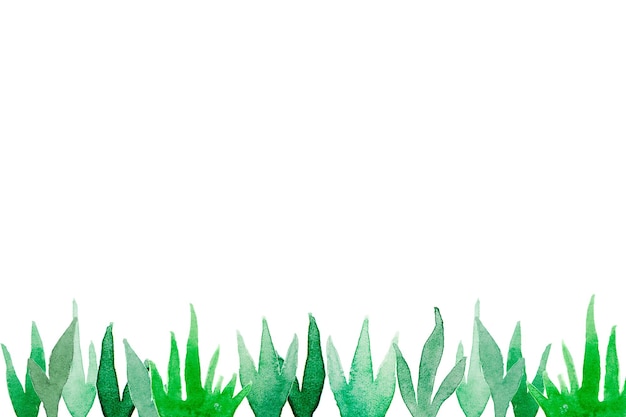 Hand gezeichnetes grünes Gras des Aquarells auf dem weißen Hintergrund