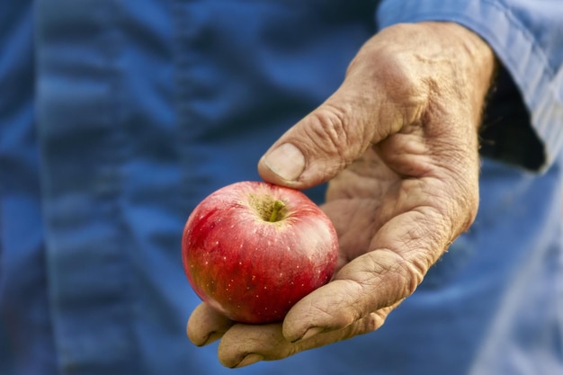 Hand hält Apfel