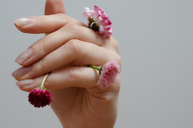 Hand hält Blumen