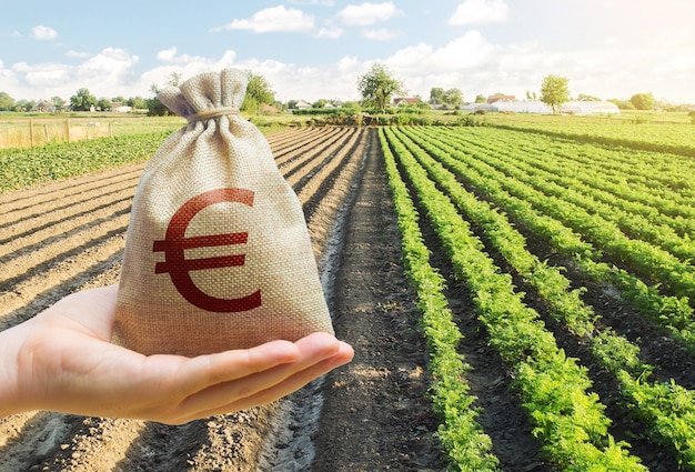 Hand hält eine Euro-Tasche auf dem Hintergrund einer Karottenplantage aus.