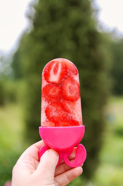 Hand hält Erdbeereis auf sommerlichem Naturhintergrund an warmen sonnigen Tagen Hausgemachtes Dessert mit frischen Früchten