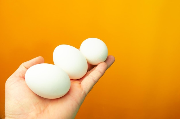 Hand hält gekochte Eier auf einem orangefarbenen Hintergrund