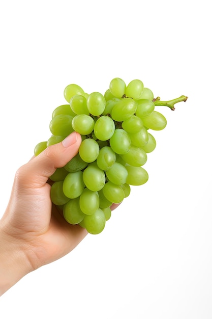 Hand hält grüne Weintraube isoliert auf weißem Hintergrund