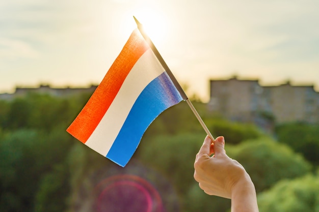 Hand hält niederländische Flagge ein offenes Fenster