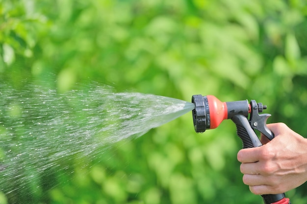 Hand hält Schlauch mit Sprühdüse für Wasser mit fließenden Wasserstrahlen auf dem Hintergrund eines Gartens