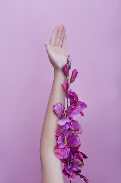 Hand mit den rosa Blumen und Blumenblättern, die auf einer Papierwand, Kosmetik für Handhautpflege liegen. Natürliche Blütenkosmetik, ätherische Öle, Anti-Falten- und Anti-Aging-Handpflege