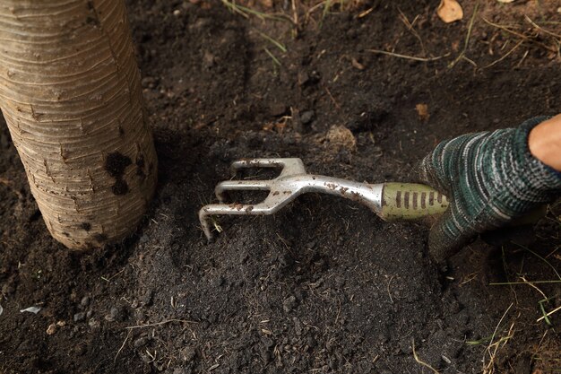 Hand mit der kleinen Gartenarbeitgabel, die im Garten arbeitet