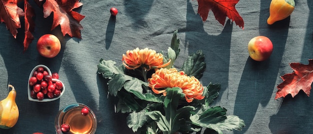 Hand mit orangefarbenen Chrysanthemenblüten Trockenes Hasenschwanzgras und rote Eichenblätter Kürbisse Preiselbeere Herbstdekoration Draufsicht Flach lag auf dunklem Textil