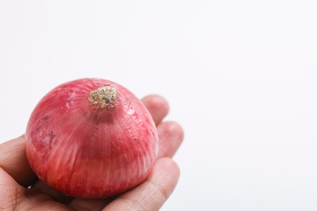 Hand mit roter Zwiebel