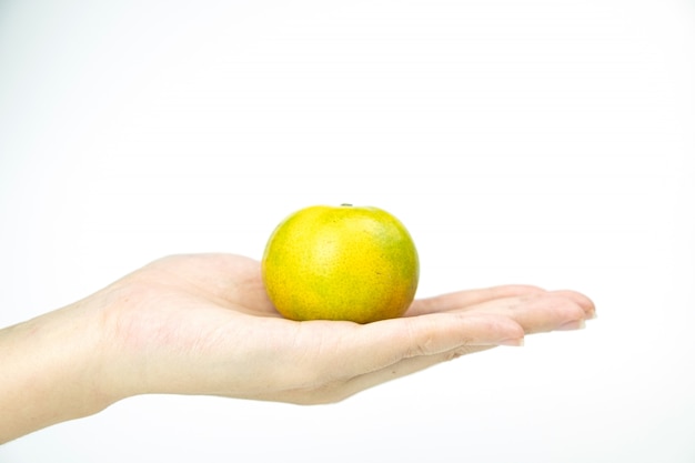 Hand mit unreifen Orangenfrüchten