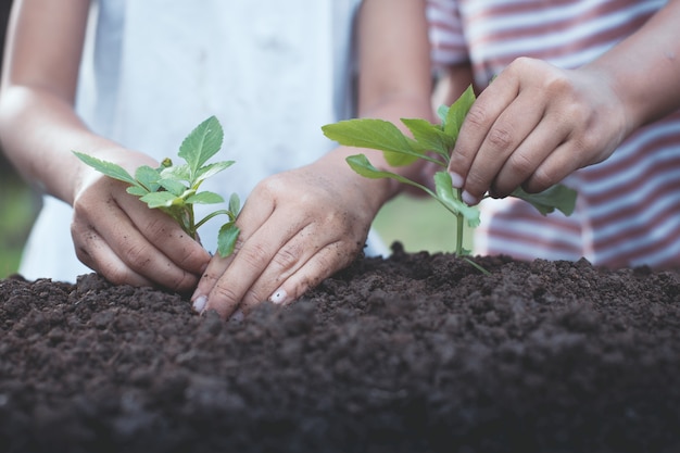 Hand mit zwei Kindern kleines Mädchen, die zusammen jungen Baum auf schwarzem Boden pflanzt