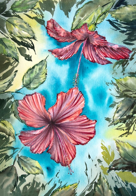 Foto handgemalte aquarell-hibiskus aquarell hibiskus-malerei