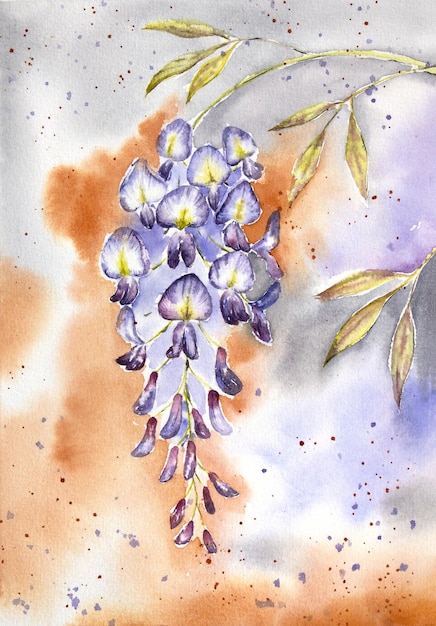 Foto handgemalte aquarell-wisteria auf dem abstrakten hintergrund aquarell wisteria-malerei