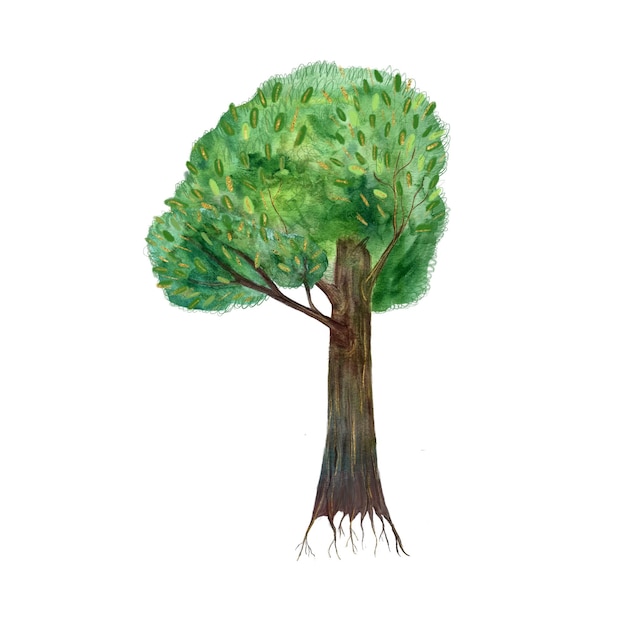 Handgemalte Aquarellbaum mit isolierten Wurzeln auf Weiß