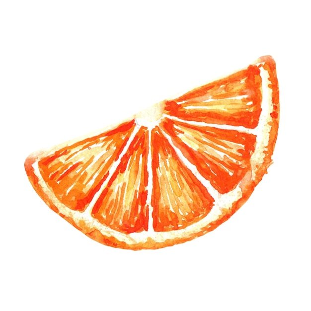 Handgezeichnete Aquarell-Orangenscheibe isoliert auf weißem Hintergrund