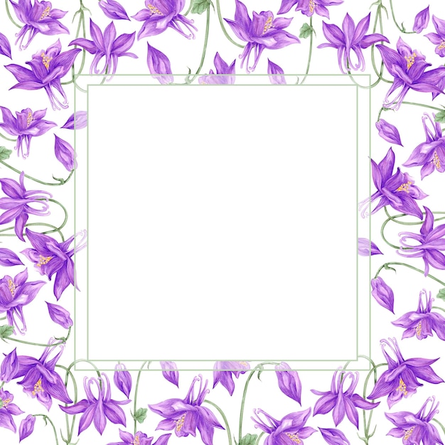 Handgezeichnete Aquarelle lila Aquilegia Blumen Rahmen Rand isoliert auf weißem Hintergrund Kann für Karten Etikett Einladung und andere gedruckte Produkte verwendet werden