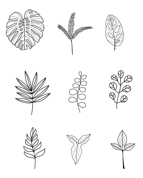 Handgezeichnete Blatt-Linien-Kunstsammlung, Vektorillustration