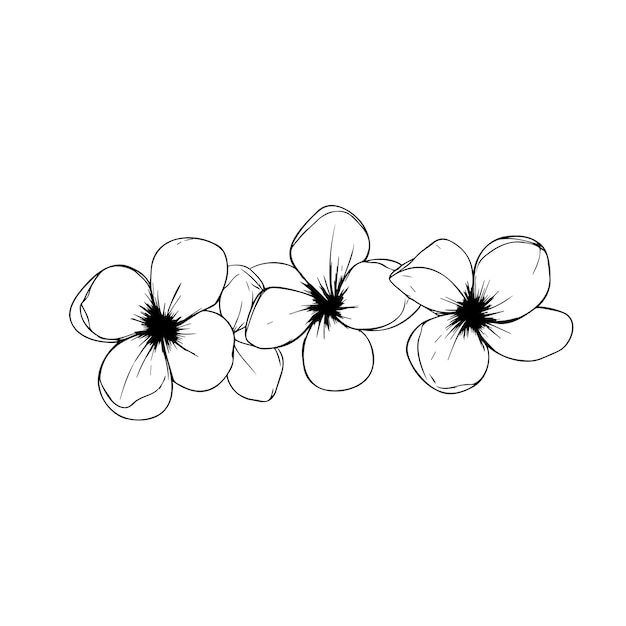 Handgezeichnete Blumenillustration im minimalistischen Stil