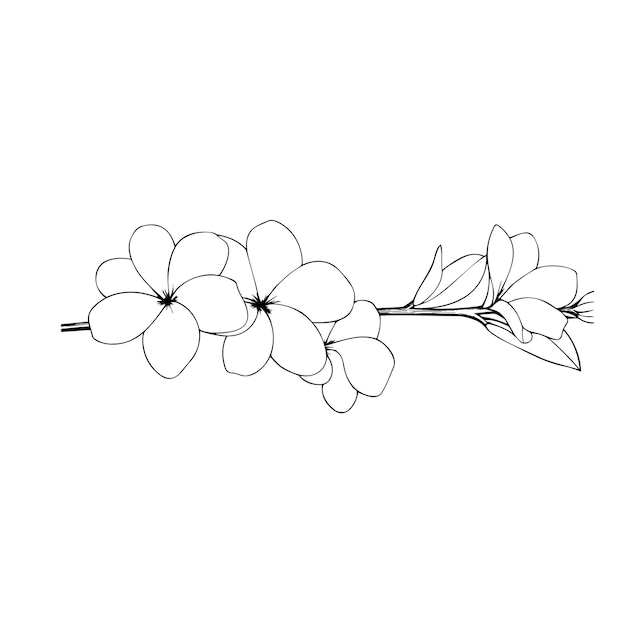 Handgezeichnete Blumenillustration im minimalistischen Stil