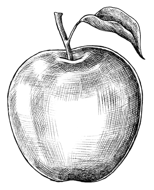 Handgezeichnete frische Apfelfrüchte durchsichtig png