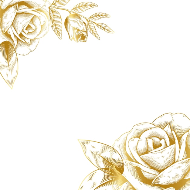 Handgezeichnete goldene Rosenkanten-Design-Element