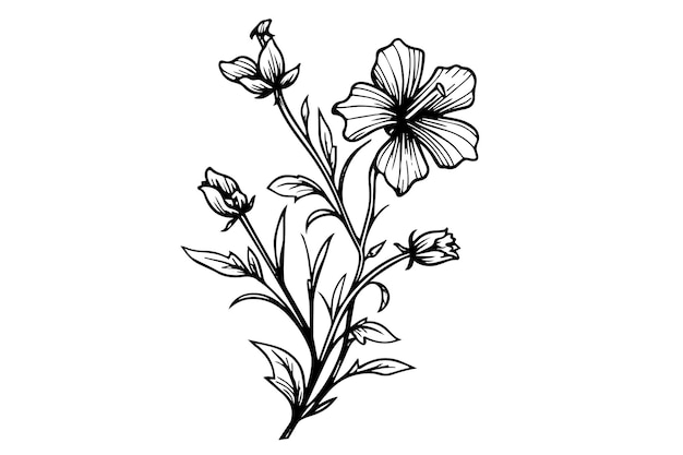 Handgezeichnete Tintenskizze mit Wildblumen, eingravierte Vektorillustration im Retro-Stil