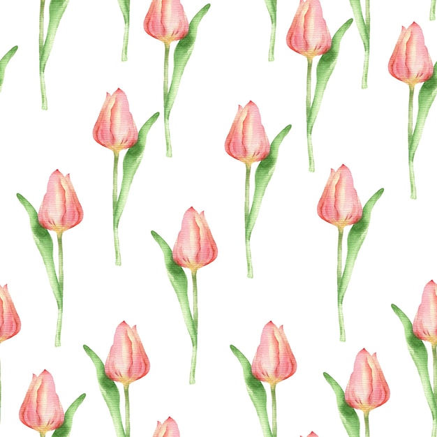 Foto handgezeichnete tulpe nahtlose muster aquarell blumen nahtlose textur in weißem hintergrund isoliert