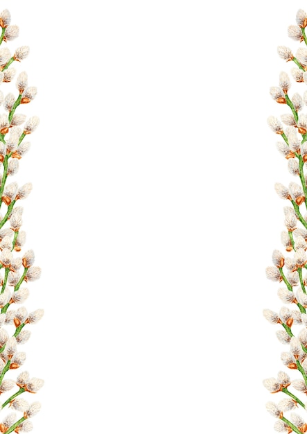 Handgezeichneter Aquarell-Rahmenrahmen aus Pussy Willow botanischer Clip Art Symbol religiöser Feiertage