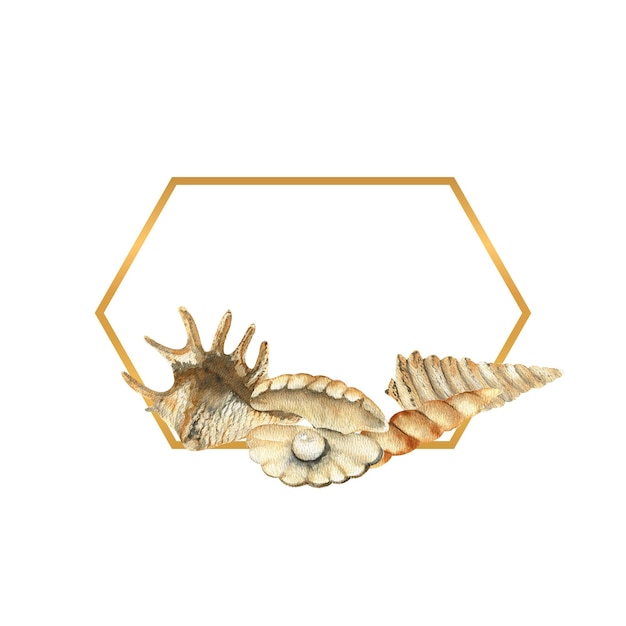 Handgezeichneter Goldrahmen mit Muscheln Strand Illustration Aquarell Muscheln auf einem weißen isolierten Hintergrund