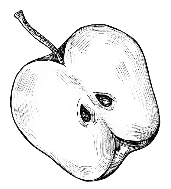 Handgezeichneter halb geschnittener Apfel durchsichtig png