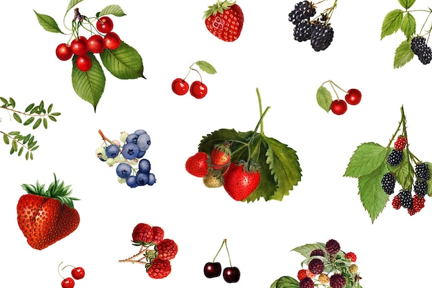 Handgezeichneter Hintergrund mit gemischten Beerenmustern