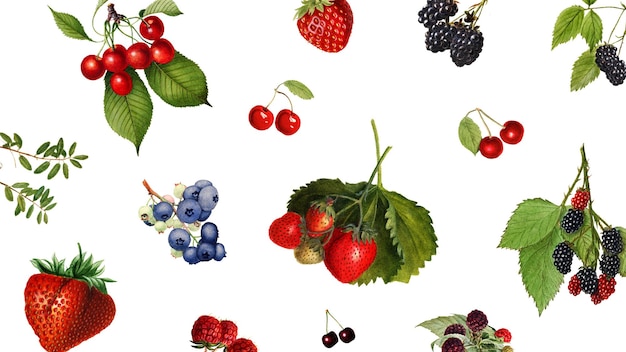 Handgezeichneter Hintergrund mit gemischten Beerenmustern