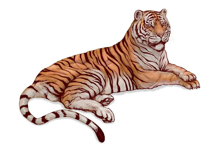 Foto handgezeichneter liegender tiger überlagert