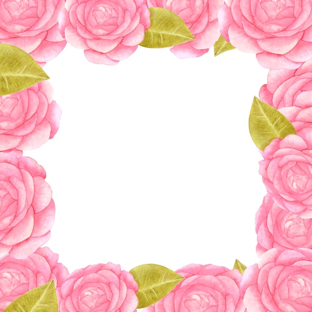 Handgezeichneter Rosenrahmen Aquarell rosa Rosengrenze auf dem weißen Hintergrund Scrapbook-Designelemente