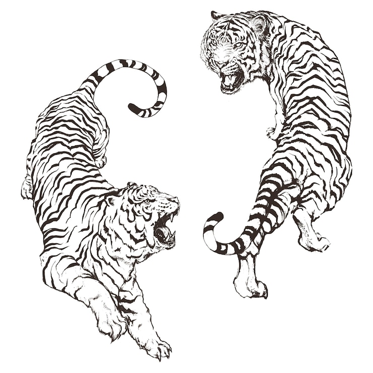 Foto handgezeichneter überlagerung von brüllenden yin-yang-tigern