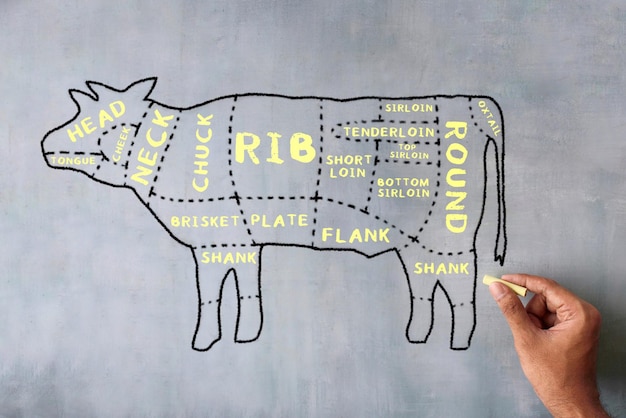 Handgezeichnetes Bild von Metzger-Rindfleisch-Schnittdiagrammen auf der Tafel