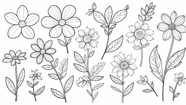 Handgezeichnetes Blumen-Satz mit Umriss