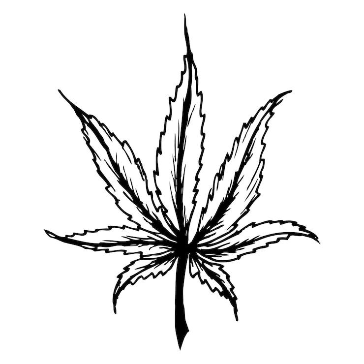 Foto handgezeichnetes nahtloses muster von marihuana-blättern