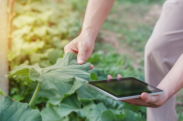 Handlandwirt in der landwirtschaftlichen Besetzung der Anlage unter Verwendung der Tablette