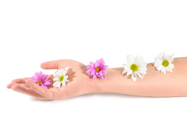 Handpflegekonzept Anti-Falten Weibliche Hand und Farben auf einer Hand auf weißem Hintergrund Hautpflege