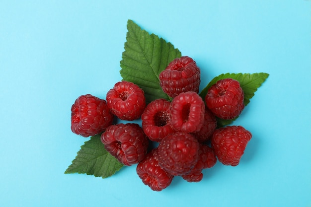 Handvoll rote saftige Himbeeren mit Blättern auf blauem Grund.