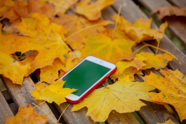 Handy mit grünem Bildschirm neben Herbstlaub auf einem Tisch