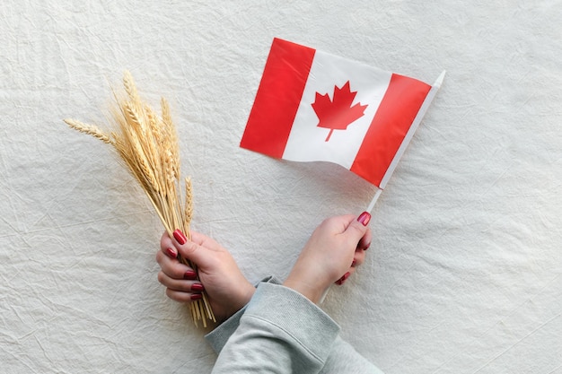 Happy Canada Thanksgiving Day Kanadische Flagge und Weizenähren in der Hand auf cremefarbenem Textil Flache Draufsicht einfache Anordnung